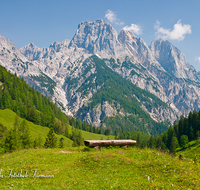 fileadmin/roha/images_galerie/orte_landschaft/Berchtesgaden/Nationalpark_Klausbachtal_Wimbachtal_-Klamm/BGD-NAT-BIND-0024-D-roha-Berchtesgaden-Nationalpark-Bindalm-Bank-Muehlsturzhoerner.png