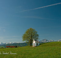 fileadmin/roha/images_galerie/orte_landschaft/Saaldorf/KKKM-SAALD-SILL-0006-D-roha-Kapelle-Saaldorf-Sillersdorf-Watzmann-Hochstaufen-Fruehling.png