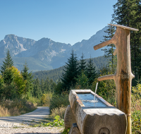 fileadmin/roha/images_galerie/Wasser-Brunnen/LANDA-BRUN-TEISB-OTTOB-0009-D-roha-Landart-Brunnen-Wasser-Teisenberg-Anger-Otto-Brunn-Hochstaufen.png