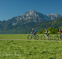 fileadmin/roha/images_galerie/Freizeit-Sport/Mountainbike-Radfahren/SPO-MOUN-ANG-0019-0805-01-D-roha-Sport-Mountainbike-Radfahren-Anger-Hochstaufen-Zwiesel.png