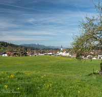 fileadmin/roha/images_galerie/orte_landschaft/Teisendorf/Neukirchen/TEI-NEUK-0002-4-D-roha-Teisendorf-Neukirchen-Chiemgauer-Berge-Blumenwiese.png