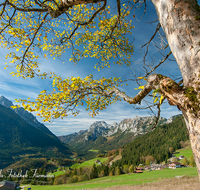 fileadmin/roha/images_galerie/orte_landschaft/Berchtesgaden/Ramsau/BGD-RA-LAN-0044-D-roha-Berchtesgaden-Ramsau-Landschaft-Blaueis-Hochkalter-Bergahorn-Reiter-Alpe.png