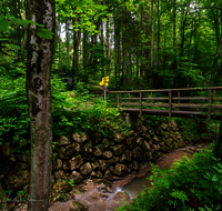 fileadmin/roha/images_galerie/kirche_religion/Ainring-Kreuzweg/KKKM-AINR-KR-03-0001-20-D-roha-Kreuzweg-Ainring-Kirche-Wald-Steg.png