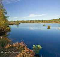 fileadmin/roha/images_galerie/wasser/PE-SCHOENR-MOOR-0033-D-roha-Petting-Schoenramer-Moor-Moorsee-Wasser-See-Heide.png