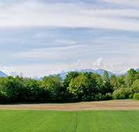 fileadmin/roha/images_galerie/orte_landschaft/Saaldorf/SAAL-SURH-PAN-0001-D-roha-Saaldorf-Surheim-Panorama-Untersberg-Hochstaufen.png