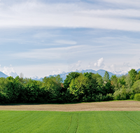 fileadmin/roha/images_galerie/orte_landschaft/Saaldorf/SAAL-SURH-PAN-0001-D-roha-Saaldorf-Surheim-Panorama-Untersberg-Hochstaufen.png