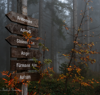 fileadmin/roha/images_galerie/wege/WEGE-AN-SONNL-0003-D-roha-Weg-Anger-Sonnleitenberg-Beschilderung.png