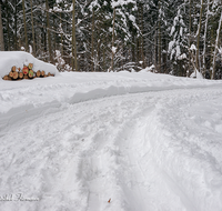 fileadmin/roha/images_galerie/wege/WEGE-WINT-WALD-HAM-0002-D-roha-Weg-Winter-Hammer-Wald-Schnee.png