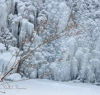 fileadmin/roha/images_galerie/Winter/WINT-EIS-ACHT-0016-D-roha-Winter-Schnee-Eis-Achthal-Ache-Gras.png