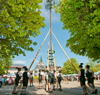 fileadmin/roha/images_galerie/brauchtum/Maibaum/Teisendorf/BR-MAIB-TEI-0083-D-roha-Brauchtum-Maibaum-Teisendorf-Marktplatz-Tracht.png