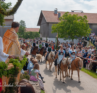 fileadmin/roha/images_galerie/brauchtum/Leonhardiritt/Holzhausen_01/BR-PFRI-HOLZ-PFARR-2012-1051-02-D-roha-Brauchtum-Pferdeumritt-Holzhausen-Teisendorf-Pfarrer-Segen.png