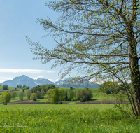 fileadmin/roha/images_galerie/orte_landschaft/Anger/Anger/Anger-Landschaft/LANDS-TEIS-VACH-0015-D-roha-Landschaft-Teisendorf-Anger-Vachenlueg-Hochstaufen.png