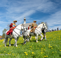 fileadmin/roha/images_galerie/brauchtum/Leonhardiritt/Traunstein-Georgiritt/BR-PFRI-TRAUNST-2019-1051-0-02-D-roha-Brauchtum-Pferdeumritt-Georgiritt-Traunstein-Ettendorfer-Kircherl.png