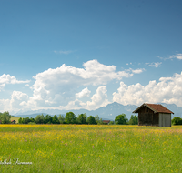 fileadmin/roha/images_galerie/orte_landschaft/Haarmoos/HAARM-0043-01-06-D-roha-Abtsdorf-Laufen-Haarmoos-Saaldorf-Hochstaufen-Zwiesel-Blumenwiese-Stadel.png