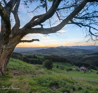 fileadmin/roha/images_galerie/orte_landschaft/Anger/Anger/Anger-Stimmung/SO-AU-ANG-STOISSB-0001-0615-D-roha-Sonnenaufgang-Anger-Stoissberg-Neuhaus-Baum.png