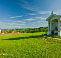 fileadmin/roha/images_galerie/orte_landschaft/Waging/WAG-TACH-0004-D-roha-Waging-am-See-Taching-Martl-Kapelle-Weg-Kirche.png