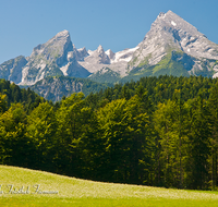 fileadmin/roha/images_galerie/orte_landschaft/Berchtesgaden/Watzmann/BGD-WATZ-0032-D-roha-Berchtesgaden-Watzmann-Aschauer-Weiher-Blumenwiese.png