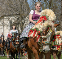 fileadmin/roha/images_galerie/brauchtum/Leonhardiritt/Traunstein-Georgiritt/BR-PFRI-TRAUNST-2019-1221-01-D-roha-Brauchtum-Pferdeumritt-Georgiritt-Traunstein-Ettendorfer-Kircherl.png