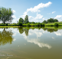 fileadmin/roha/images_galerie/orte_landschaft/Teisendorf/TEI-SUED-OST-0054-D-roha-Teisendorf-Sued-Ost-Weiher-Seerose-Kirche.png