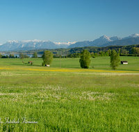 fileadmin/roha/images_galerie/orte_landschaft/Waging/WAG-SEE-WOLK-0003-D-roha-Waginger-See-Untersberg-Steinernes-Meer-Wasser-Hochstaufen-Zwiesel.png