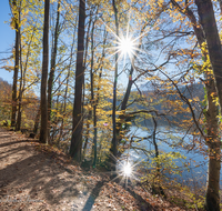 fileadmin/roha/images_galerie/orte_landschaft/Anger/Hoeglwoerth/AN-HOE-WEG-0050-D-roha-Anger-Hoeglwoerth-See-Weg-Sonne.png