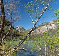 fileadmin/roha/images_galerie/orte_landschaft/Bad_Reichenhall/BAD-REI-THUM-0024-D-roha-Bad-Reichenhall-Thumsee.png