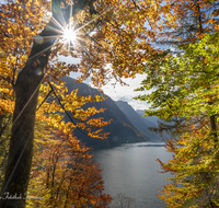 fileadmin/roha/images_galerie/orte_landschaft/Berchtesgaden/Koenigssee/BGD-KOE-SCHIFF-0034-03-D-roha-Berchtesgaden-Koenigssee-Malerwinkel-Herbst.png