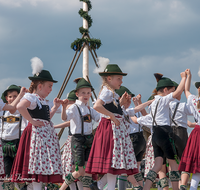 fileadmin/roha/images_galerie/brauchtum/Maibaum/Anger-Hoeglwoerth/BR-MAIB-ANG-2017-1455-01-D-roha-Brauchtum-Maibaum-Anger-Trachten-Kinder-Tanz.png