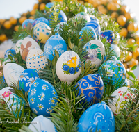 fileadmin/roha/images_galerie/brauchtum/Ostern/BR-OST-BRUNNEN-0005-1-Droha-Brauchtum-Ostern-Osterbrunnen-Bad-Reichenhall-Florianiplatz-Ostereier.png