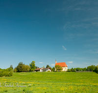 fileadmin/roha/images_galerie/orte_landschaft/Waging/KKKM-WAG-COL-0008-D-roha-Kirche-Waging-St-Coloman-Tengling-Fruehling.png