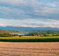 fileadmin/roha/images_galerie/orte_landschaft/Waging/LANDS-TACH-PAN-0007-D-P-roha-Landschaft-Tachinger-See-St-Coloman-Hochstaufen-Zwiesel-Teisenberg-Waging.png