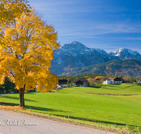 fileadmin/roha/images_galerie/orte_landschaft/Piding/PID-SECHSH-0006-D-roha-Piding-Sechshoegl-Herbst-Hochstaufen-Zwiesel.png