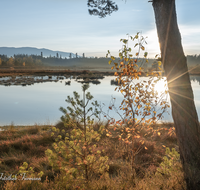 fileadmin/roha/images_galerie/stimmung-Sonne/Sonnenuntergang/SON-UN-SCHOEN-0003-1523-D-roha-Sonnenuntergang-Schoenrammer-Moor-See-Wasser.png