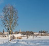 fileadmin/roha/images_galerie/orte_landschaft/Abtsdorf-Abtsdorfer-See/ABTS-WI-0003-03-D-roha-Abtsdorf-Winter-Baum-Haarmoos.png