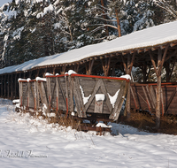 fileadmin/roha/images_galerie/Winter/AINR-MOOR-WIN-0004-D-roha-Ainring-Moor-Winter-Schnee-Torfbahn-Lore-Boggerlbahn.png