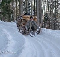 fileadmin/roha/reportagen/Winterzug-Holzknecht-Hammer-1-2019/HOLZKNE-HAM-0015-1421-0589-D-M-roha-Holzknecht-Schlitten-Winter-Siegsdorf-Hammer-Winterzug.png