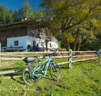 fileadmin/roha/images_galerie/orte_landschaft/Inzell/INZ-BAECK-ALM-0005-D-roha-Inzell-Baeckeralm-Hochstaufen-Herbst-Zaun-Herbst-E-Bike.png