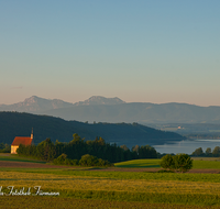 fileadmin/roha/images_galerie/orte_landschaft/Waging/LANDS-TACH-0010-D-roha-Landschaft-Tachinger-See-St-Coloman-Hochstaufen-Zwiesel-Teisenberg-Maisfeld-Gerste.png