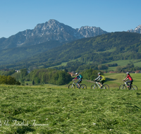 fileadmin/roha/images_galerie/Freizeit-Sport/Mountainbike-Radfahren/SPO-MOUN-ANG-0019-0834-01-D-roha-Sport-Mountainbike-Radfahren-Anger-Hochstaufen-Zwiesel.png