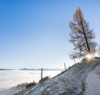 fileadmin/roha/images_galerie/Winter/STIM-ANG-FUERM-WI-0001-D-roha-Stimmung-Anger-Sonne-Winter-Fuermannalm.png