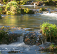 fileadmin/roha/images_galerie/wasser/WAS-BACH-SUR-0011-D-roha-Wasser-Bach-Fischtreppe-Sur-Teisendorf.png