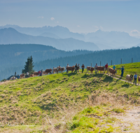 fileadmin/roha/images_galerie/brauchtum/Almabtrieb/Almabtrieb-Stoisser-Alm/BR-ALMAB-STOISS-0035-D-roha-Brauchtum-Almabtrieb-Fuikl-Stoisser-Alm-Teisendorf-Anger-Stoisseralm.png