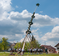 fileadmin/roha/images_galerie/brauchtum/Maibaum/Anger-Hoeglwoerth/BR-MAIB-ANG-2017-1448-01-D-roha-Brauchtum-Maibaum-Anger-Aufstellen.png