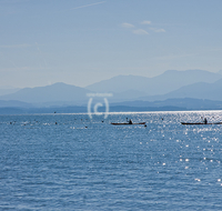 fileadmin/roha/images_galerie/orte_landschaft/Seeon-Seebruck/CHIE-STIM-PAD-0002-D-roha-Chiemsee-Stimmung-Malerwinkel-Paddeln.jpg