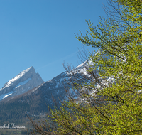 fileadmin/roha/images_galerie/orte_landschaft/Berchtesgaden/Watzmann/BGD-WATZ-0040-D-roha-Berchtesgaden-Ramsau-Gertsreit-Watzmann-Gipfel-Fruehling-Schnee-Buchen-Wald.png