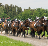 fileadmin/roha/images_galerie/brauchtum/Leonhardiritt/Holzhausen_01/Kaltblutfest/BR-PFRI-HOLZ-KALTBL-2015-1140-04-01-D-roha-Brauchtum-Kaltblut-Pferd-Kutsche-Holzhausen-Teisendorf-Zehner-Zug.png