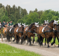 fileadmin/roha/images_galerie/brauchtum/Leonhardiritt/Holzhausen_01/Kaltblutfest/BR-PFRI-HOLZ-KALTBL-2015-1140-04-01-D-roha-Brauchtum-Kaltblut-Pferd-Kutsche-Holzhausen-Teisendorf-Zehner-Zug.png