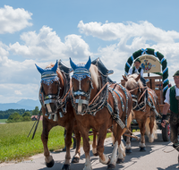 fileadmin/roha/images_galerie/orte_landschaft/Teisendorf/Weildorf/Weildorf-Trachtenfest/BR-TRACHT-FEST-WEIL-18062017-1206-03-D-roha-Brauchtum-Trachtenfest-Weildorf-Brauerei.png