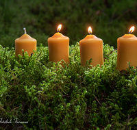 fileadmin/roha/images_galerie/brauchtum/Weihnachten/BR-WEIH-KERZE-AD-01-1558-D-roha-Brauchtum-Weihnachten-Advent-Vier-Kerzen-Moos.png