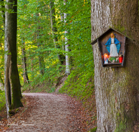 fileadmin/roha/images_galerie/kirche_religion/Anger/KKKM-ANG-HOEG-0002-D-roha-Weg-Kreuz-Anger-Hoeglwoerth-See-Wanderweg-Schutzmantel-Madonna.png